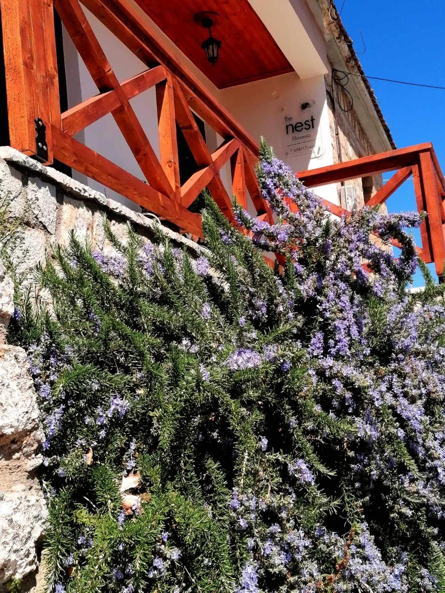 The Nest Filoxenia